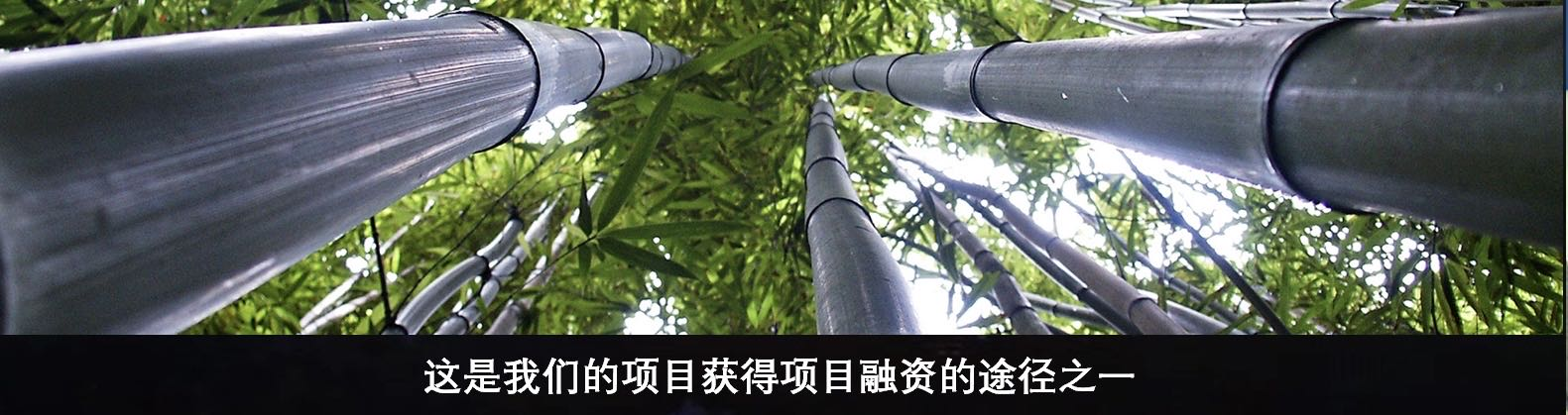 f57837f4506735f5abb7f8e57d530736