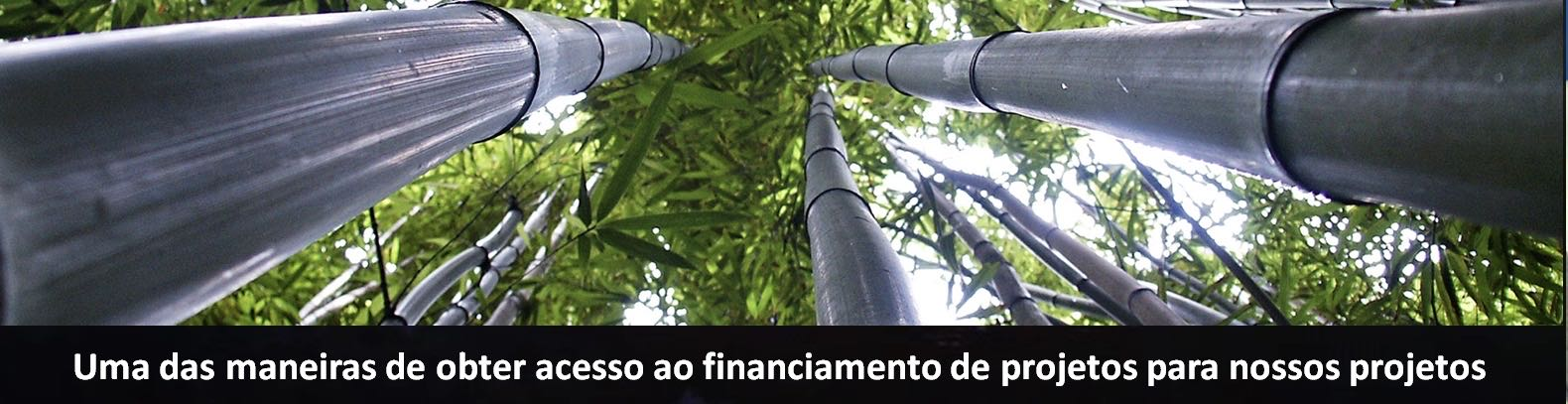 0953098b40cbb131a08c6d6fe95fa7bf